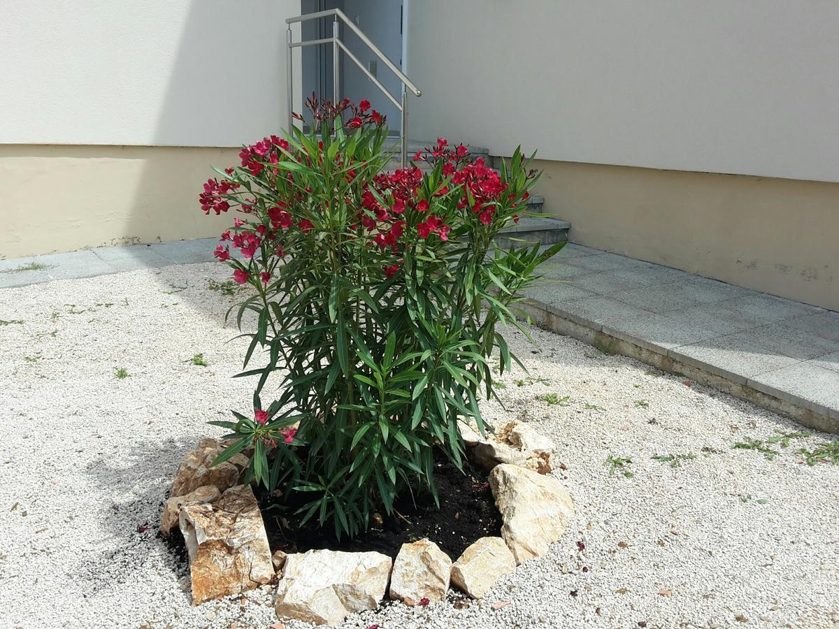 Apartamento Atena Zaton Nin Exterior foto